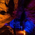 From Auckland: Waitomo Glowworm and Ruakuri Caves Day Tour - What Sets This Tour Apart