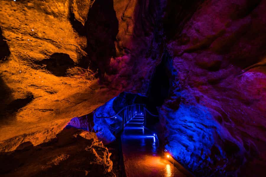 From Auckland: Waitomo Glowworm and Ruakuri Caves Day Tour - What Sets This Tour Apart