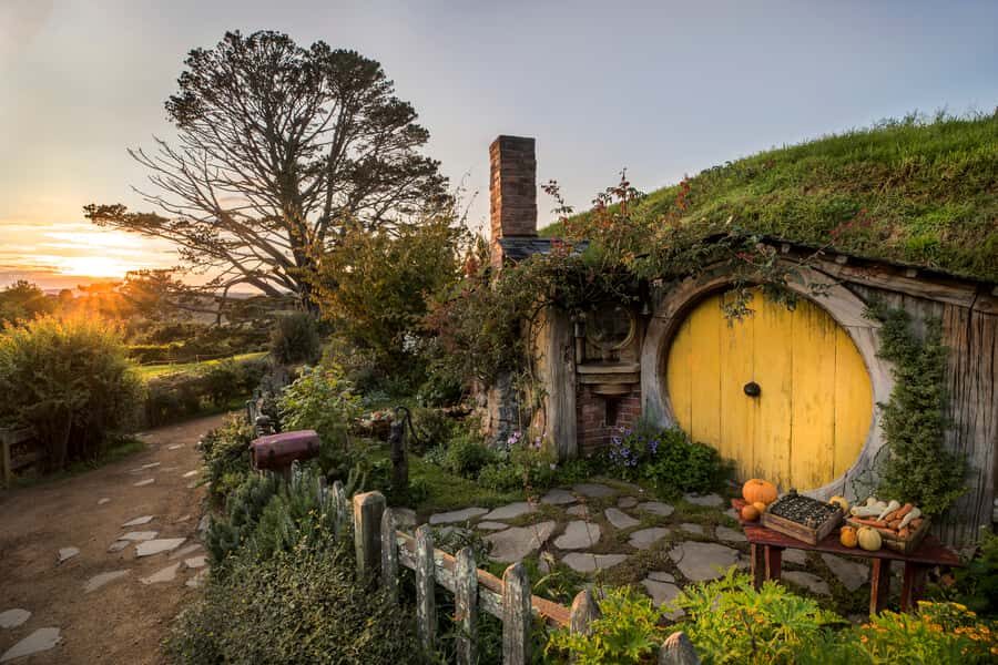From Auckland: Waitomo & Hobbiton Bus Tour with Lunch - What’s in the Price?