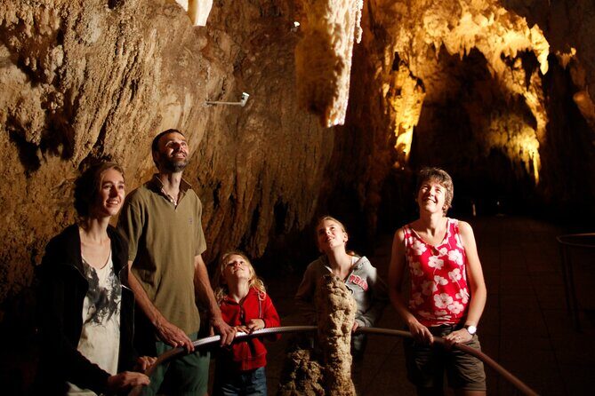 From Auckland:Hobbiton Movie Set & Waitomo Caves Small Group Tour - The Practicalities