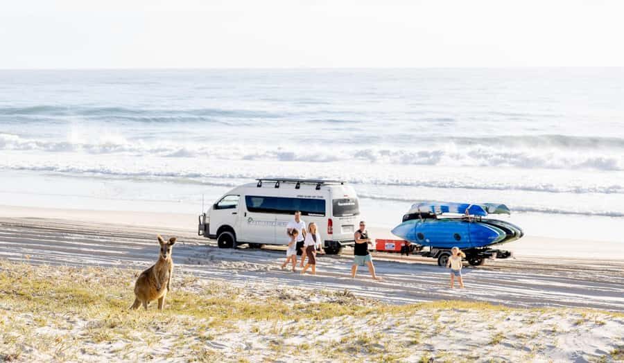 From Brisbane: Bribie Island Day Trip and 4x4 tour - Why This Tour Offers Great Value