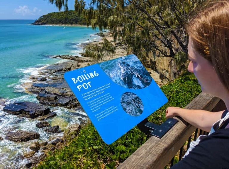 From Brisbane: Day Trip to Noosa, Glass House Mtns and Zoo - The Itinerary in Detail