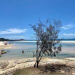 From Brisbane: North Stradbroke Island Wildlife Adventure - Key Points