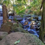 From Brisbane: Tamborine Mountain and Paradise Point Tour - In-Depth Look at Each Stop
