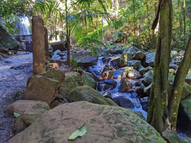 From Brisbane: Tamborine Mountain and Paradise Point Tour - In-Depth Look at Each Stop