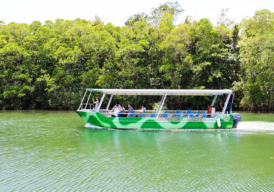 From Cairns: Daintree Wilderness & Cape Tribulation Bus Tour - The Value of This Tour
