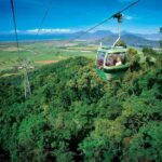From Cairns: Full-Day Kuranda Army Duck Experience Tour - What Travelers Say
