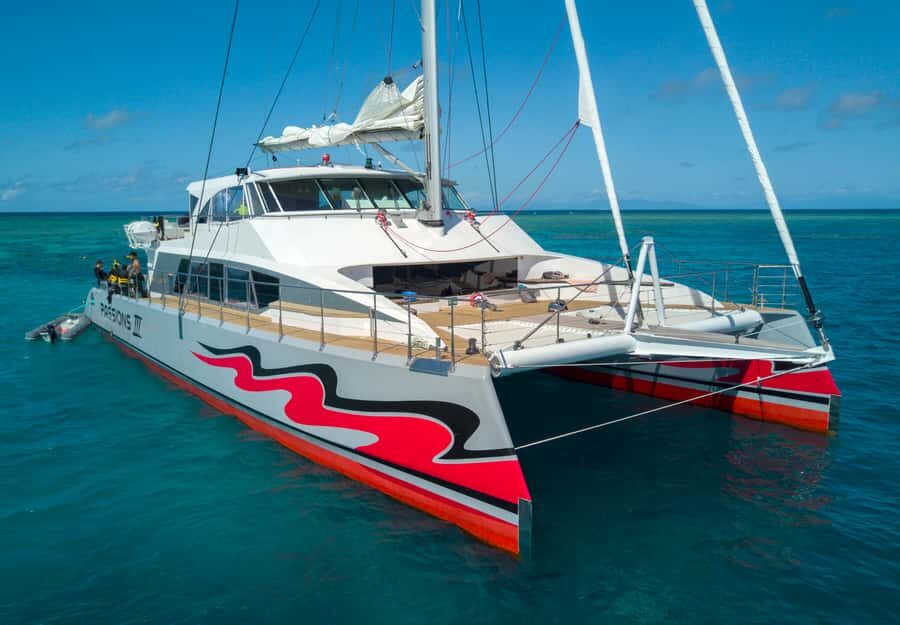 From Cairns: Great Barrier Reef Cruise by Premium Catamaran - Practical Details and What You Should Know