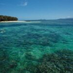From Cairns: Green Island Half-Day Morning Cruise - The Value of the Experience