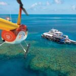 From Cairns: Outer Reef Pontoon, Island & Helicopter Tour - Analyzing the Value and Experience