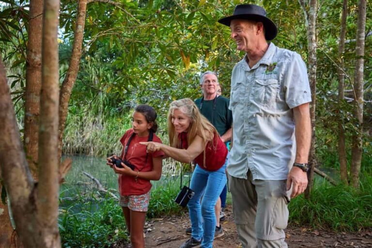 From Cairns: Rainforest & Nocturnal Wildlife Tour - The Value of the Tour