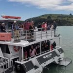 From Christchurch: Akaroa Day Tour with Optional Cruise - Welcome to Akaroa: French Charm and Coastal Beauty