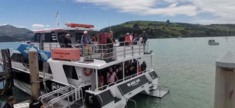 From Christchurch: Akaroa Day Tour with Optional Cruise - Welcome to Akaroa: French Charm and Coastal Beauty