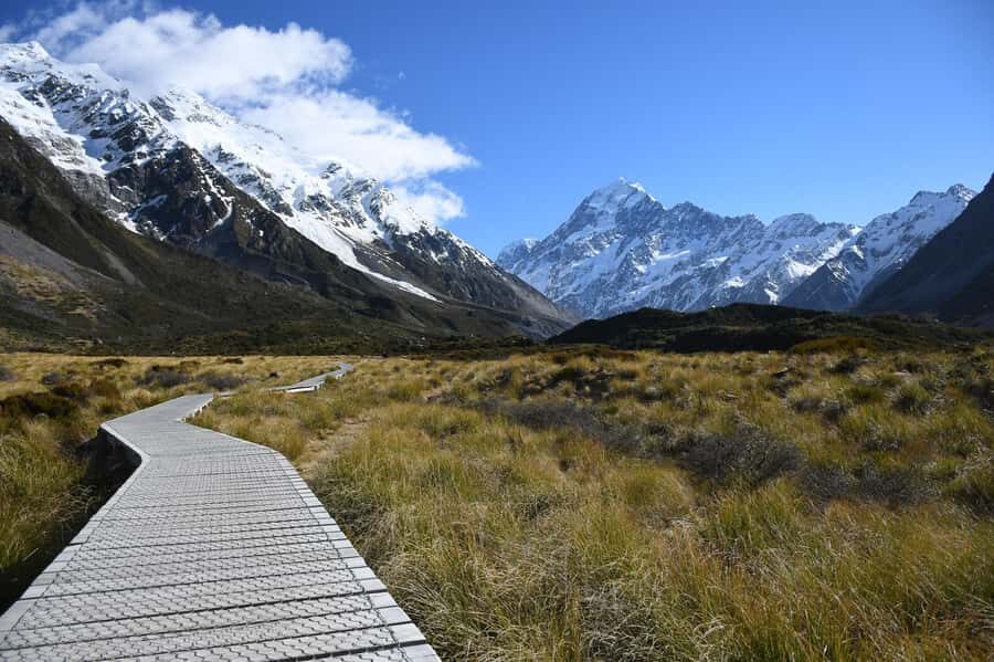 From Christchurch: Mount Cook & Lake Tekapo Day Tour & Lunch - Analyzing the Value