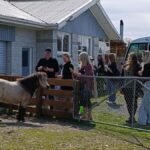 From Christchurch: Sheep Farm Experience with Lunch & Winery - The Experience: What Travelers Say