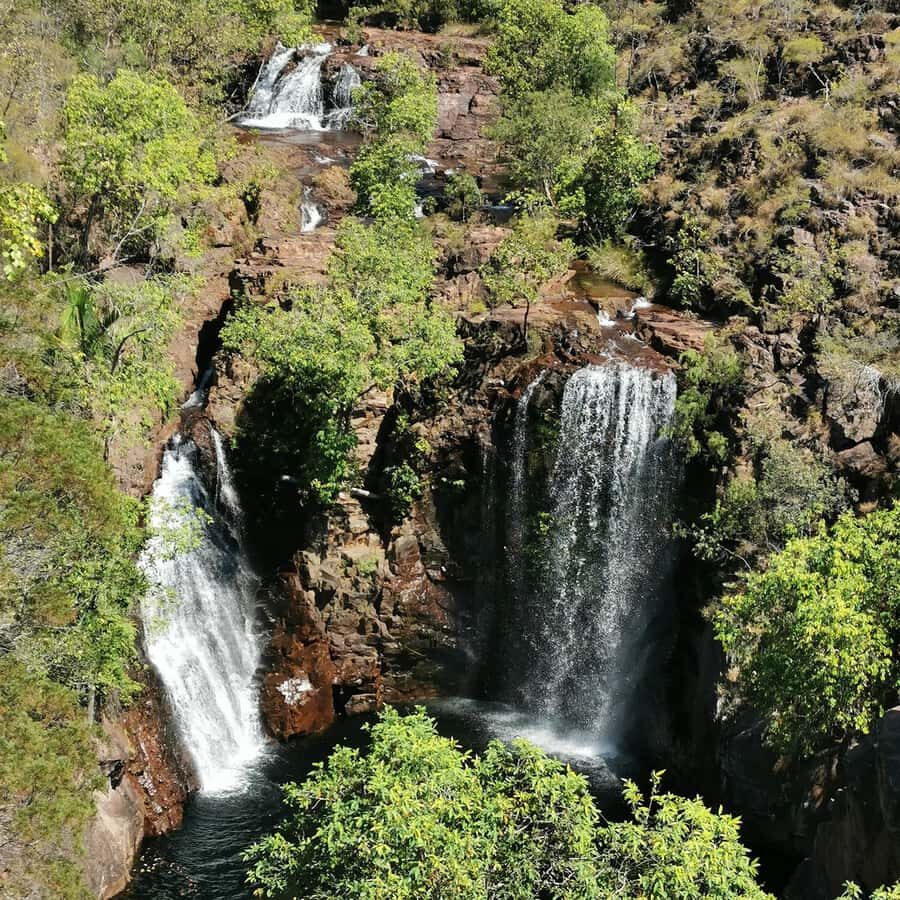 From Darwin: Litchfield National Park Small-Group Day Trip - Learning About Nature and Culture