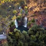 From Darwin: Litchfield National Park & Waterfalls Day Trip - What to Expect on the Tour
