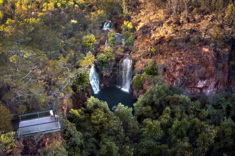 From Darwin: Litchfield National Park & Waterfalls Day Trip - What to Expect on the Tour