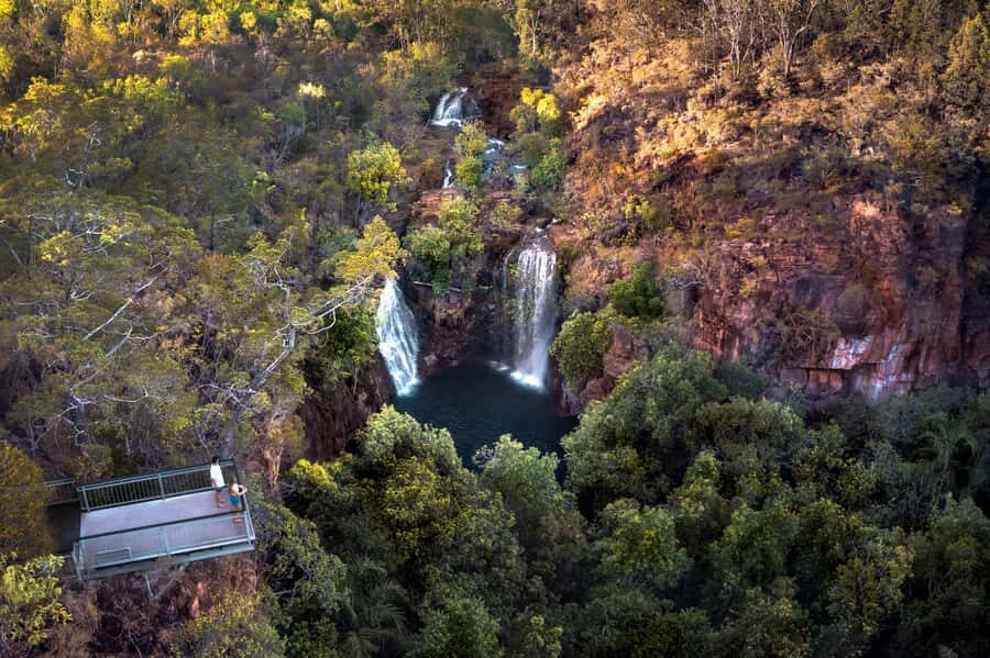 From Darwin: Litchfield National Park & Waterfalls Day Trip - What to Expect on the Tour