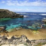 From Fremantle: Rottnest Island Ferry & Bus Day Tour - The Highlights: What Youll See and Experience