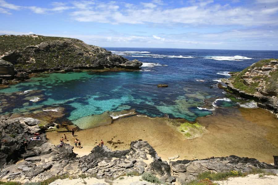 From Fremantle: Rottnest Island Ferry & Bus Day Tour - The Highlights: What Youll See and Experience