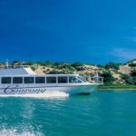 From Goolwa: Murray Mouth Cruise - Who Will Love This Experience?