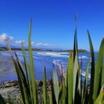 From Greymouth: Highlights West Coast Day Tour - First Stop: Punakaiki Pancake Rocks
