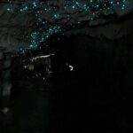 From Hamilton: Waitomo Glowworm & Cave Explorer Small Group Tour - Who Will Love This Tour?