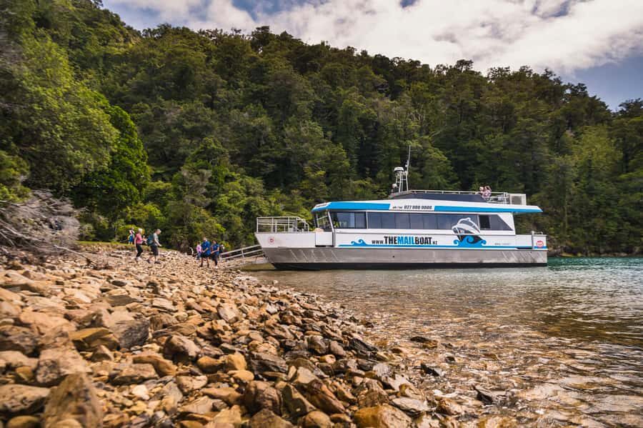 From Havelock: Marlborough Sounds Mail Boat Full-Day Cruise - What to Expect on the Mail Boat Full-Day Cruise