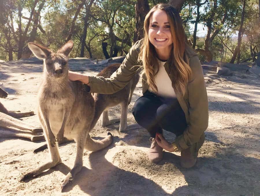 From Haymarket: Hunter Valley Wine and Wildlife Day Trip - The Experience in Review: What Travelers Love