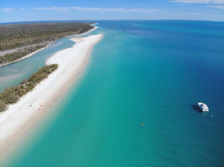 From Hervey Bay: Half-Day K'gari Fraser Island Beach Cruise - What Makes This Tour Stand Out?