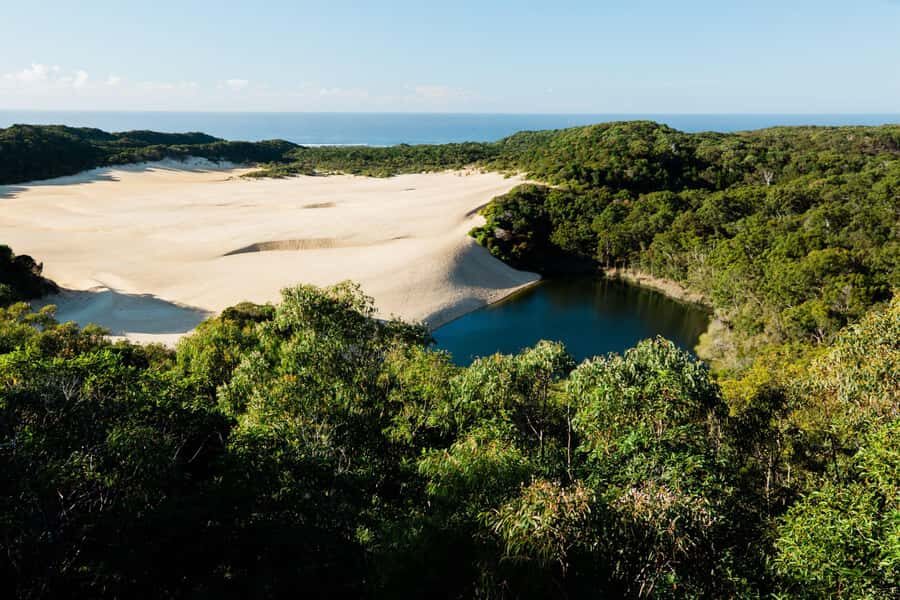 From Hervey Bay: K'Gari (Fraser Island) 4 Day Experience - Why This Tour Offers Great Value