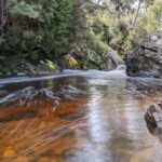 From Hobart: 5-Day Tasmania West & East Coast Tour - Day 2: Exploring the Wild West Coast