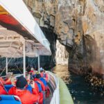 From Hobart/Adventure Bay: Bruny Island Wilderness Cruise - Value and Pricing