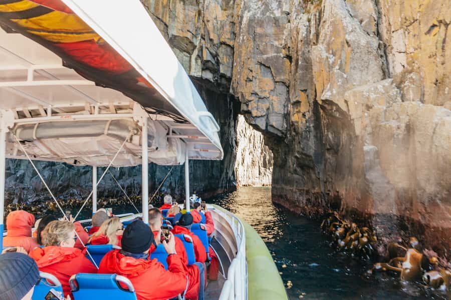 From Hobart/Adventure Bay: Bruny Island Wilderness Cruise - Value and Pricing