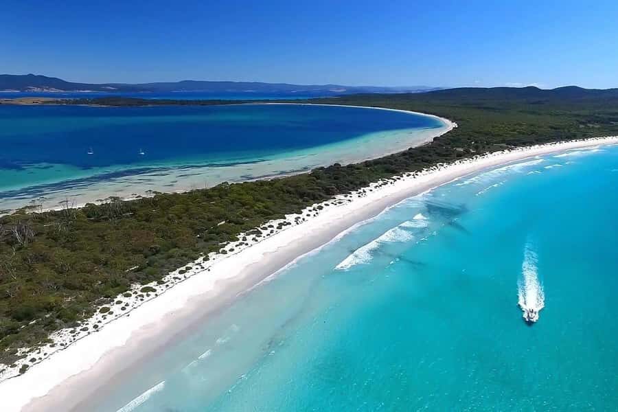 From Hobart: Day Tour to Maria Island with Bus Connection - Why Travelers Love This Tour
