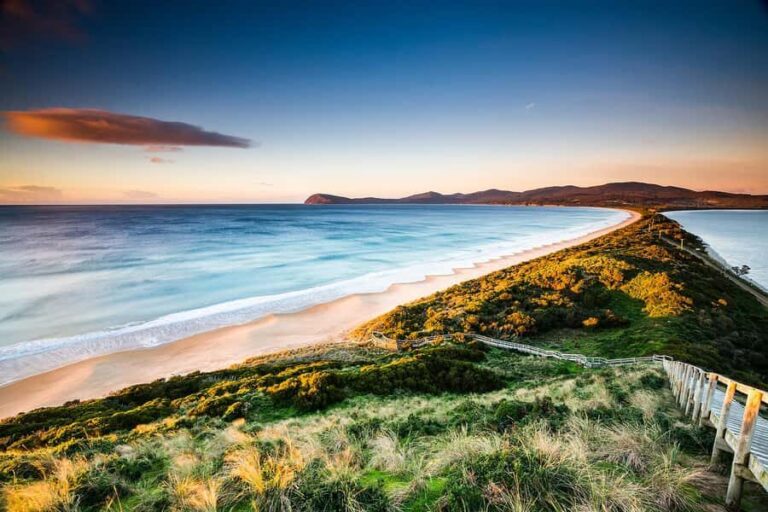 From Hobart: Full-Day Bruny Island Tour with Guide - A Deep Dive into the Bruny Island Experience
