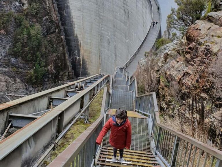 From Hobart: Gordon Dam and Lake Pedder Wilderness Day Tour - Additional Considerations