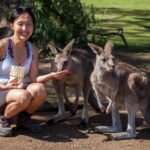 From Hobart: Mt. Field, Mt. Wellington and Wildlife Day Tour - What You Can Expect: A Day in Tasmania’s Wilderness
