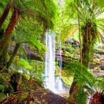 From Hobart: Mt. Field National Park and Russell Falls - The Practicalities and Value