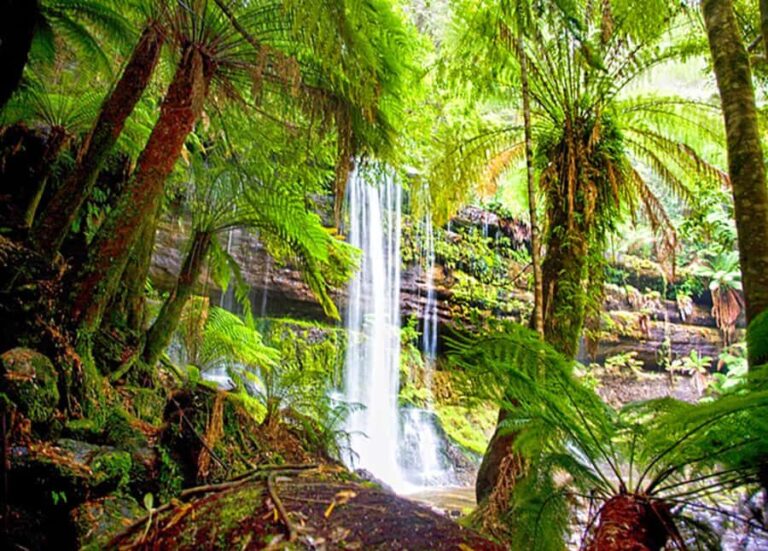 From Hobart: Mt. Field National Park and Russell Falls - The Practicalities and Value