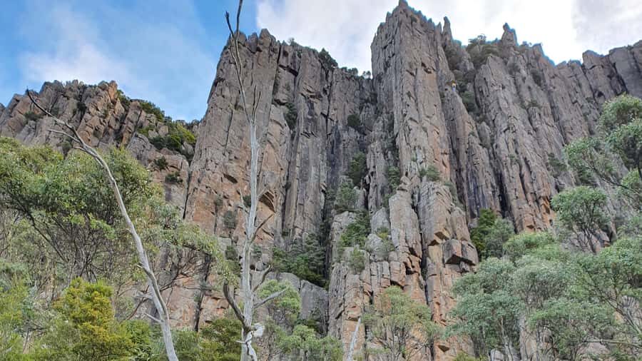 From Hobart: Mt Wellington Morning Walking Tour - The Heart of the Adventure: The Organic Pipes Track