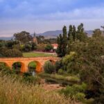 From Hobart: Richmond Village 4 hour Return Tour (Afternoon) - What Will You See and Do?