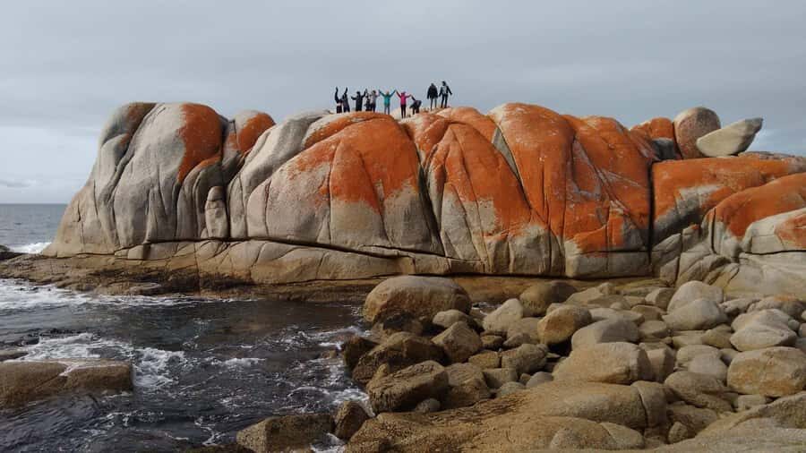 From Hobart: The Ultimate 10-Day Tour of Tasmania's Regions - Breaking Down the Itinerary