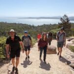 From Launceston: Full-Day Wineglass Bay Explorer Active Tour - An In-Depth Look at What You Can Expect