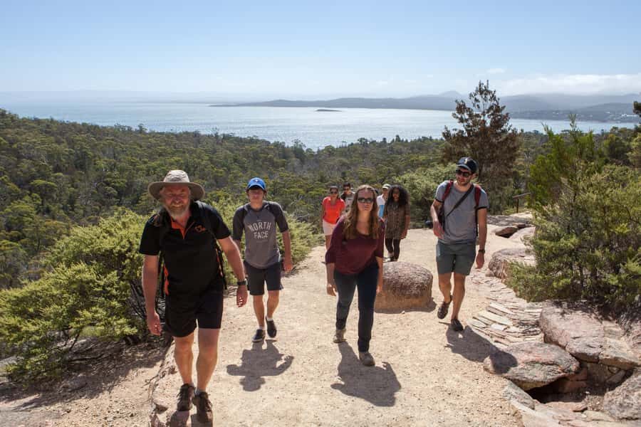 From Launceston: Full-Day Wineglass Bay Explorer Active Tour - An In-Depth Look at What You Can Expect