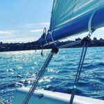 From Manly: Sydney Harbour Hands-On Taster Yacht Cruise - An Honest Look at the Sydney Harbour Yacht Cruise