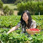 From Melbourne: Bay Sightseeing and Ferry Ride with Lunch - What’s Included and What’s Not