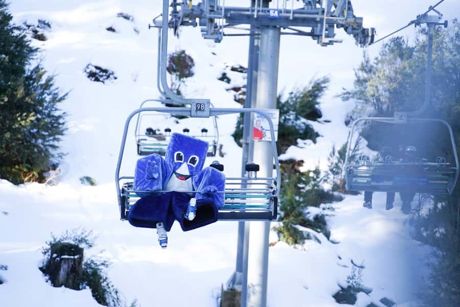 From Melbourne: Day Trip to Mt Buller by Premium Tour Coach - The Itinerary and What to Expect