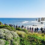 From Melbourne: Great Ocean Road, 12 Apostles, Wildlife Tour - The Actual Experience: What Makes This Tour Stand Out
